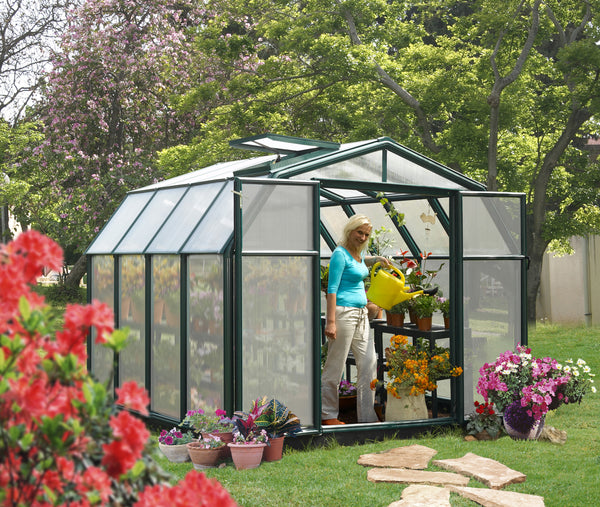 Palram - Canopia | Hobby Gardener 8' x 8' Greenhouse HG7108