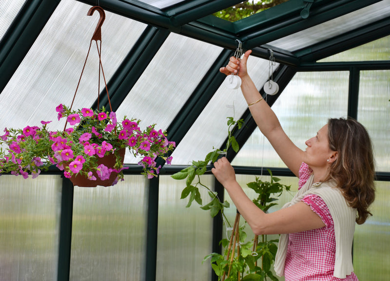 Palram - Canopia | Hobby Gardener 8' x 20' Greenhouse
