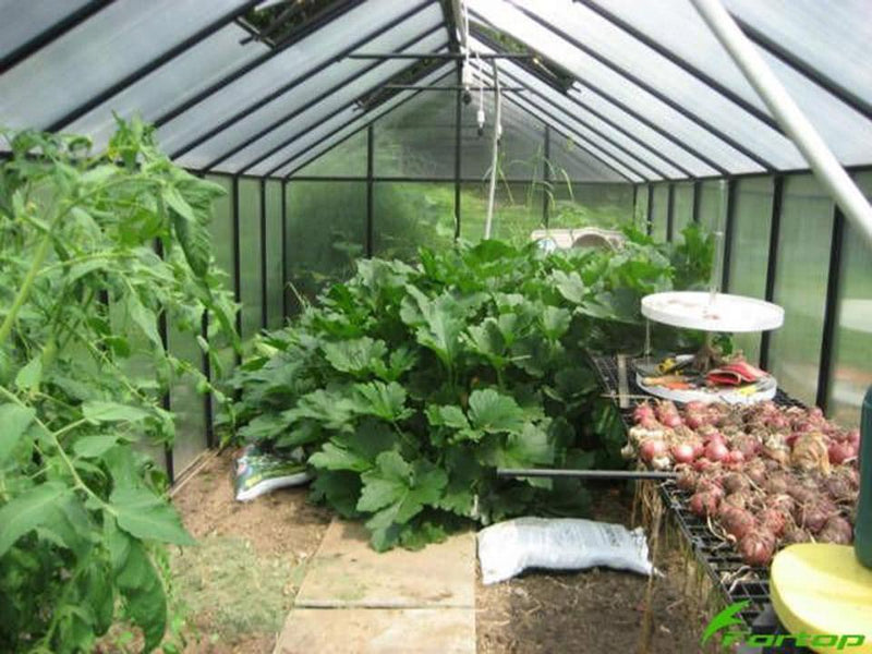 Riverstone Monticello Greenhouse 8FTx 16FT - Mojave (Full Package)