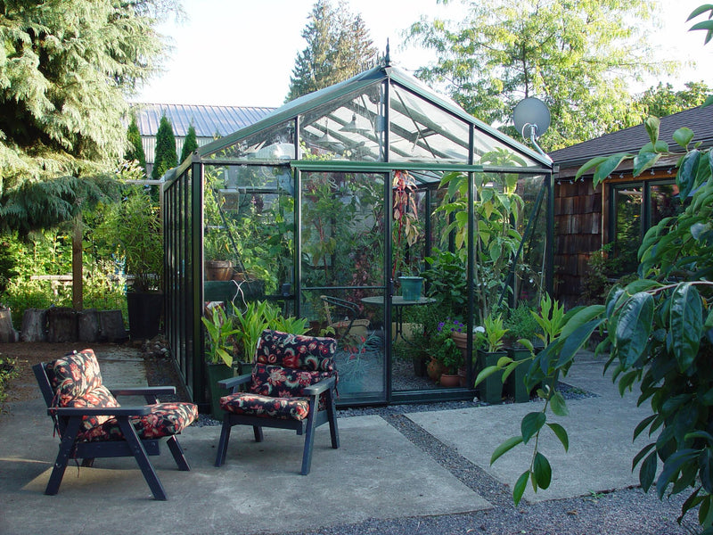 EXACO Royal Victorian | VI 34 | 4mm Tempered Glass Greenhouse in Dark Green