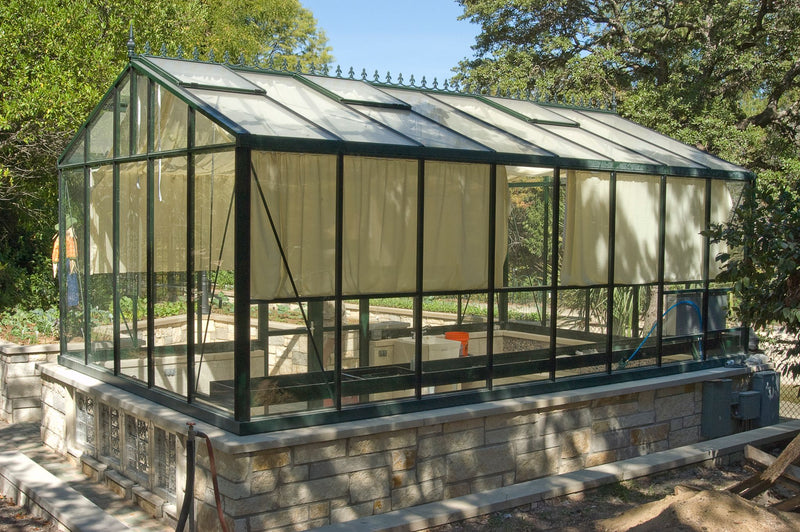 EXACO Large Royal Victorian | VI 46 | Green with 4mm Tempered Glass Greenhouse