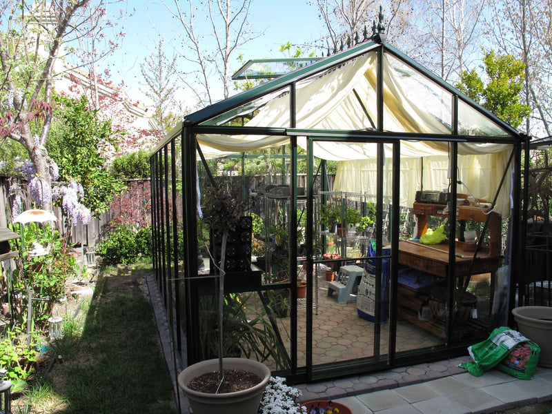 EXACO Royal Victorian | VI 34 | 4mm Tempered Glass Greenhouse in Dark Green